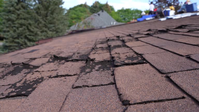 Best Asphalt Shingle Roofing  in Masonville, KY