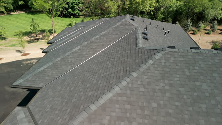 Best Sheet Metal Roofing  in Masonville, KY