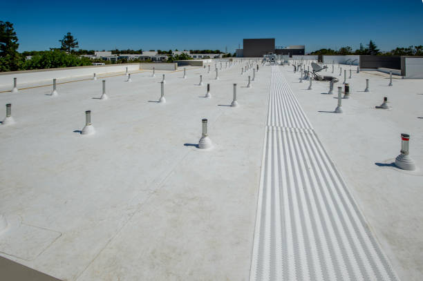 Best Rubber Roofing (EPDM, TPO)  in Masonville, KY